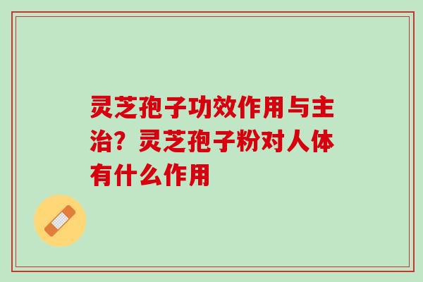 灵芝孢子功效作用与主？灵芝孢子粉对人体有什么作用