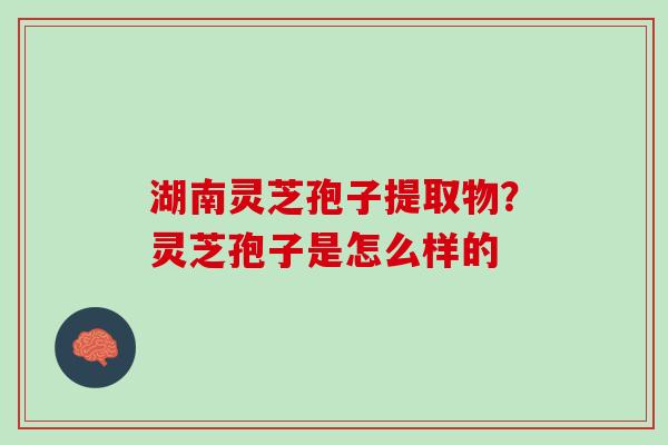 湖南灵芝孢子提取物？灵芝孢子是怎么样的