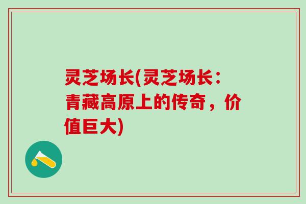 灵芝场长(灵芝场长：青藏高原上的传奇，价值巨大)