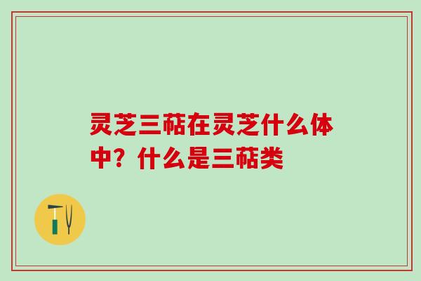 灵芝三萜在灵芝什么体中？什么是三萜类