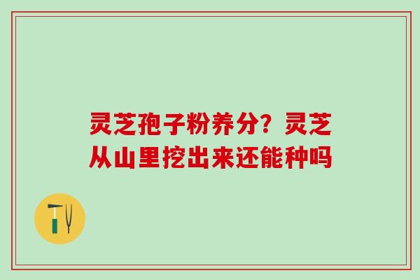 灵芝孢子粉养分？灵芝从山里挖出来还能种吗