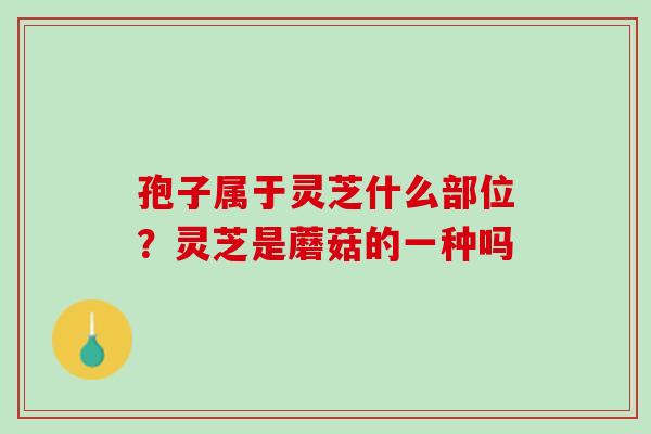 孢子属于灵芝什么部位？灵芝是蘑菇的一种吗
