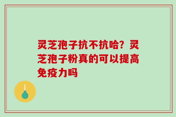 灵芝孢子抗不抗哈?灵芝孢子粉真的可以提高免疫力吗 灵芝孢子抗不抗哈?灵芝孢子粉真的可以提高免疫力吗