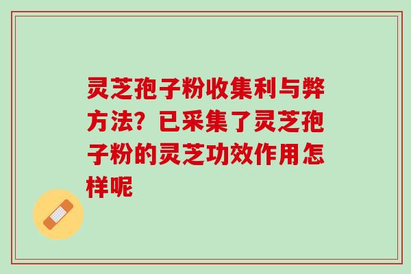 灵芝孢子粉收集利与弊方法？已采集了灵芝孢子粉的灵芝功效作用怎样呢