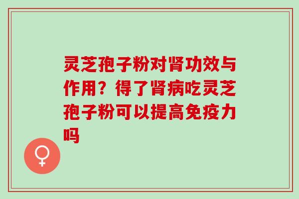 灵芝孢子粉对肾功效与作用？得了肾病吃灵芝孢子粉可以提高免疫力吗