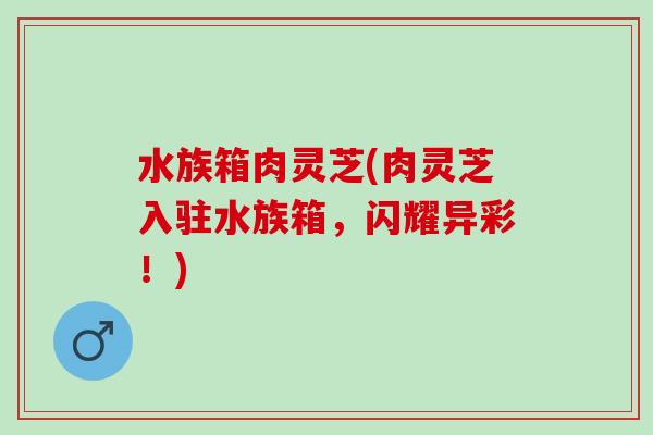 水族箱肉灵芝(肉灵芝入驻水族箱，闪耀异彩！)