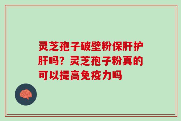灵芝孢子破壁粉保肝护肝吗？灵芝孢子粉真的可以提高免疫力吗