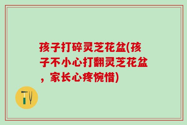 孩子打碎灵芝花盆(孩子不小心打翻灵芝花盆，家长心疼惋惜)