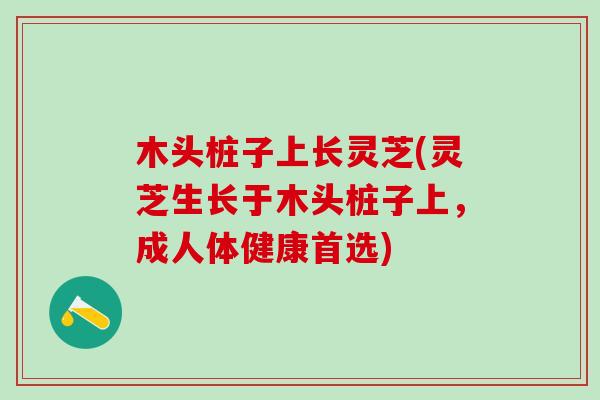 木头桩子上长灵芝(灵芝生长于木头桩子上，成人体健康首选)