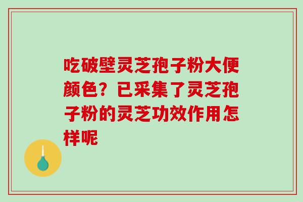 吃破壁灵芝孢子粉大便颜色？已采集了灵芝孢子粉的灵芝功效作用怎样呢