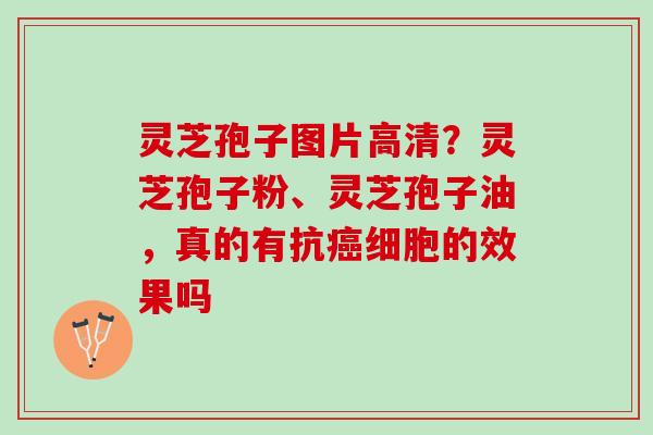 灵芝孢子图片高清？灵芝孢子粉、灵芝孢子油，真的有抗癌细胞的效果吗