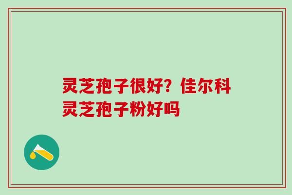 灵芝孢子很好?佳尔科灵芝孢子粉好吗 灵芝孢子很好?佳尔科灵芝孢子粉好吗