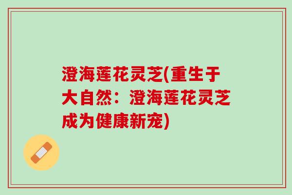 澄海莲花灵芝(重生于大自然：澄海莲花灵芝成为健康新宠)