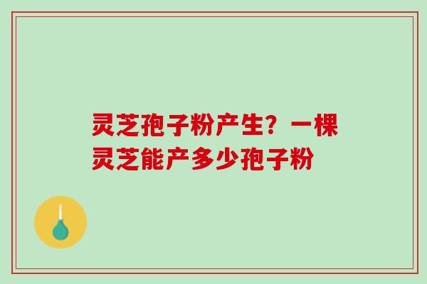 灵芝孢子粉产生?一棵灵芝能产多少孢子粉 灵芝孢子粉产生?一棵灵芝能产多少孢子粉