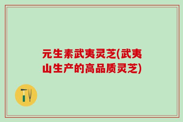 元生素武夷灵芝(武夷山生产的高品质灵芝) 元生素武夷灵芝(武夷山生产的高品质灵芝)