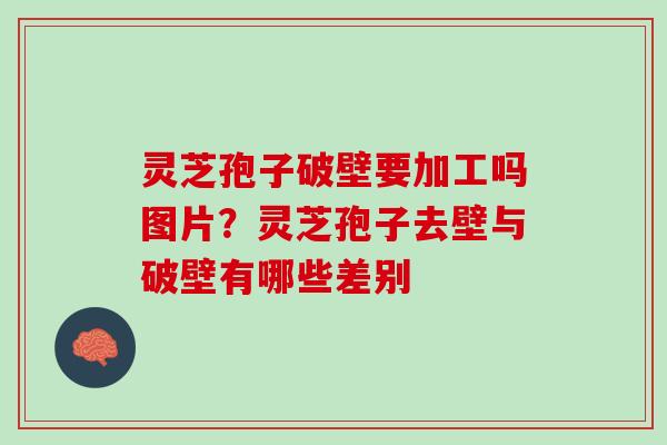 灵芝孢子破壁要加工吗图片？灵芝孢子去壁与破壁有哪些差别