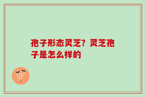 孢子形态灵芝?灵芝孢子是怎么样的 孢子形态灵芝?灵芝孢子是怎么样的