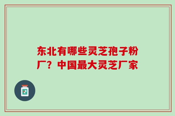 东北有哪些灵芝孢子粉厂？中国最大灵芝厂家