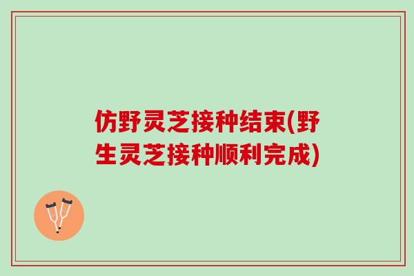仿野灵芝接种结束(野生灵芝接种顺利完成)
