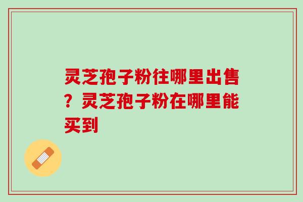 灵芝孢子粉往哪里出售？灵芝孢子粉在哪里能买到