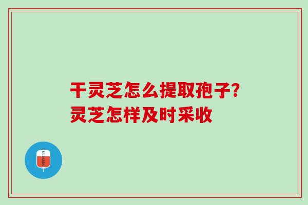 干灵芝怎么提取孢子？灵芝怎样及时采收