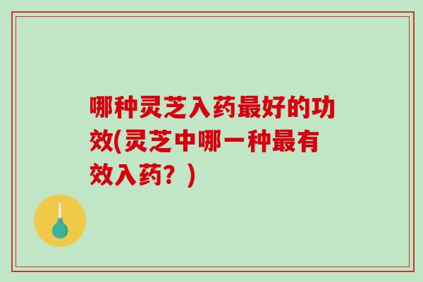哪种灵芝入药最好的功效(灵芝中哪一种最有效入药？)