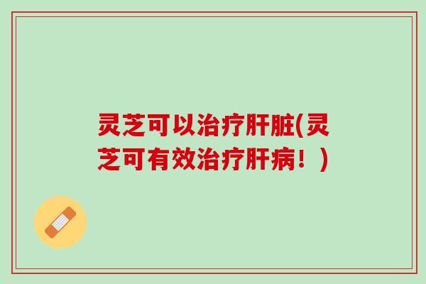 灵芝可以治疗肝脏(灵芝可有效治疗肝病！)