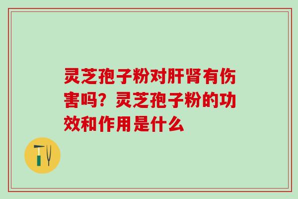 灵芝孢子粉对有伤害吗?灵芝孢子粉的功效和作用是什么 灵芝孢子粉对有伤害吗?灵芝孢子粉的功效和作用是什么