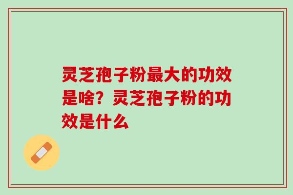 灵芝孢子粉最大的功效是啥？灵芝孢子粉的功效是什么
