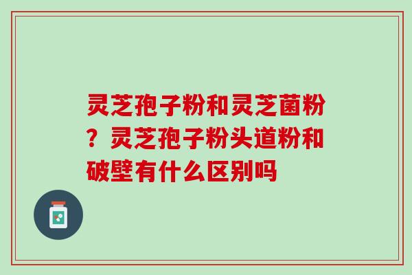 灵芝孢子粉和灵芝菌粉？灵芝孢子粉头道粉和破壁有什么区别吗