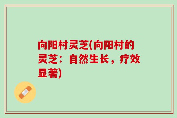 向阳村灵芝(向阳村的灵芝：自然生长，疗效显著)