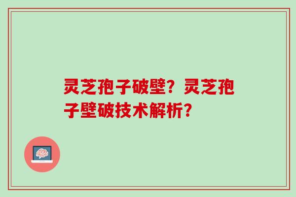 灵芝孢子破壁？灵芝孢子壁破技术解析？