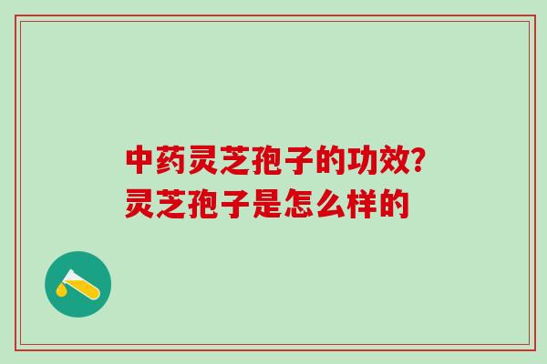中药灵芝孢子的功效？灵芝孢子是怎么样的