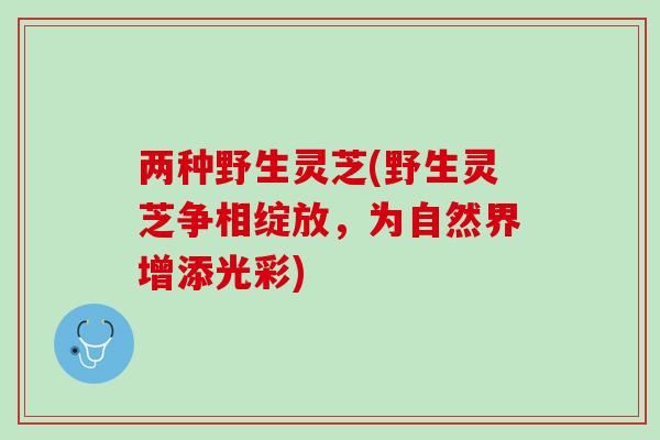 两种野生灵芝(野生灵芝争相绽放,为自然界增添光彩) 两种野生灵芝(野生灵芝争相绽放,为自然界增添光彩)