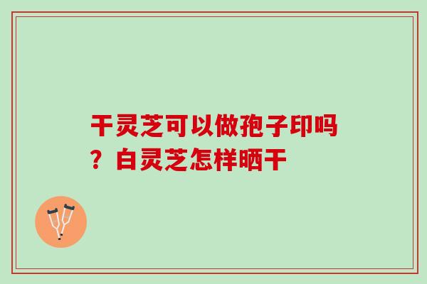 干灵芝可以做孢子印吗？白灵芝怎样晒干