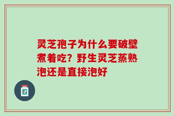 灵芝孢子为什么要破壁煮着吃？野生灵芝蒸熟泡还是直接泡好