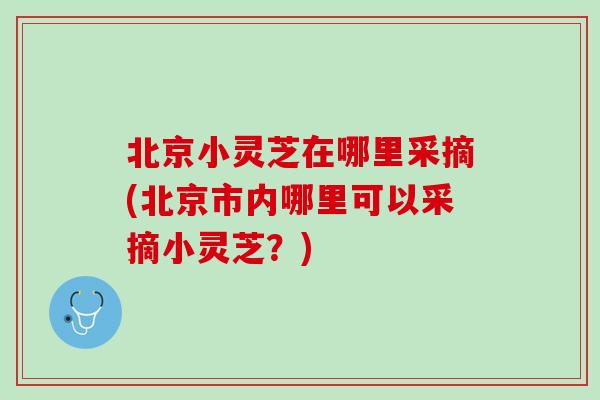 北京小灵芝在哪里采摘(北京市内哪里可以采摘小灵芝？)