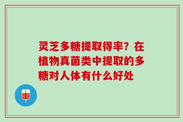 灵芝多糖提取得率？在植物真菌类中提取的多糖对人体有什么好处