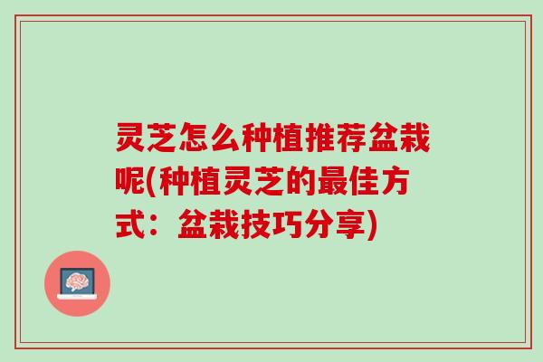 灵芝怎么种植推荐盆栽呢(种植灵芝的佳方式:盆栽技巧分享) 灵芝怎么种植推荐盆栽呢(种植灵芝的佳方式:盆栽技巧分享)
