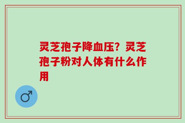 灵芝孢子降血压？灵芝孢子粉对人体有什么作用