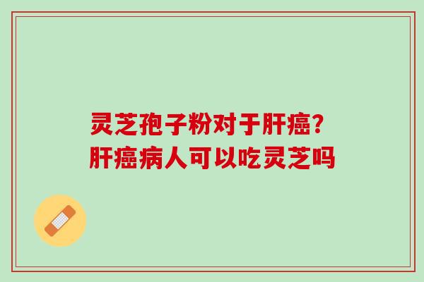 灵芝孢子粉对于？人可以吃灵芝吗