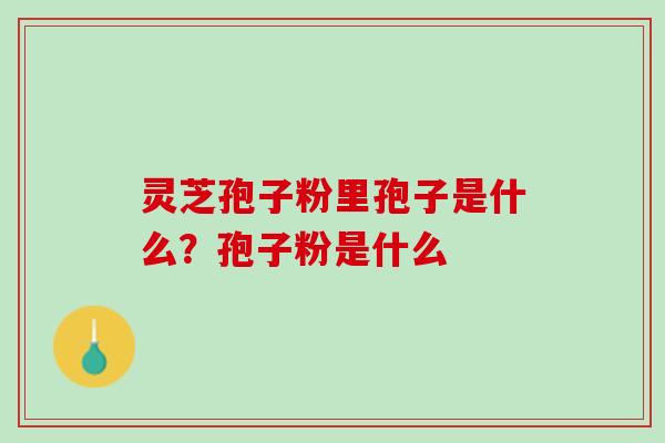 灵芝孢子粉里孢子是什么？孢子粉是什么