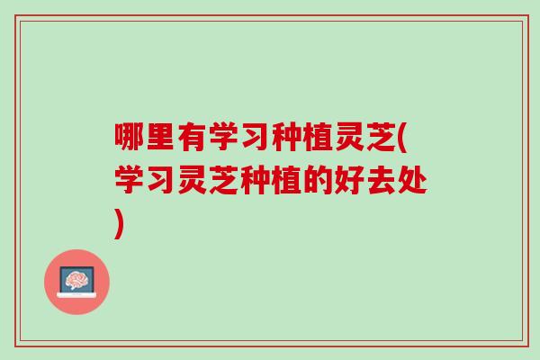 哪里有学习种植灵芝(学习灵芝种植的好去处) 哪里有学习种植灵芝(学习灵芝种植的好去处)