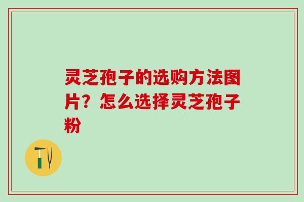 灵芝孢子的选购方法图片?怎么选择灵芝孢子粉 灵芝孢子的选购方法图片?怎么选择灵芝孢子粉
