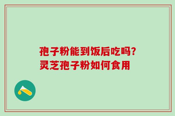 孢子粉能到饭后吃吗？灵芝孢子粉如何食用