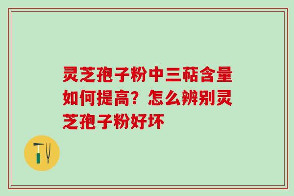灵芝孢子粉中三萜含量如何提高？怎么辨别灵芝孢子粉好坏