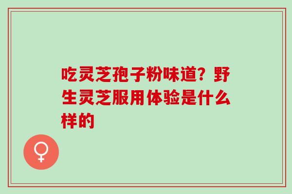 吃灵芝孢子粉味道？野生灵芝服用体验是什么样的