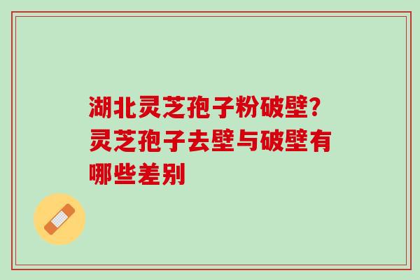 湖北灵芝孢子粉破壁？灵芝孢子去壁与破壁有哪些差别