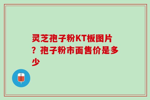 灵芝孢子粉KT板图片？孢子粉市面售价是多少