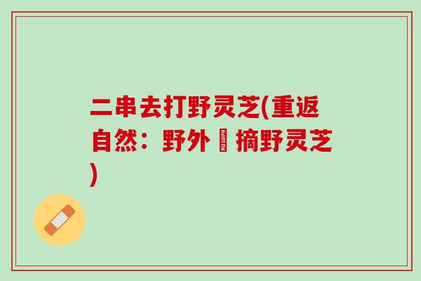 二串去打野灵芝(重返自然：野外採摘野灵芝)